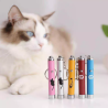 Electronic laser pointer infrared flashlight Suitable Indoor Interaction with Cats or Dogs