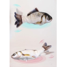 Rechargeable simulation electric jumping fish